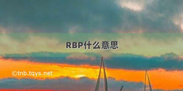 RBP什么意思