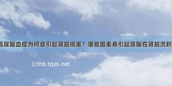 高尿酸血症为何会引起肾脏损害？哪些因素易引起尿酸在肾脏沉积？