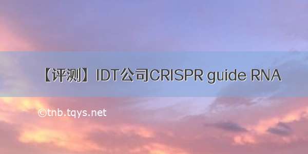 【评测】IDT公司CRISPR guide RNA