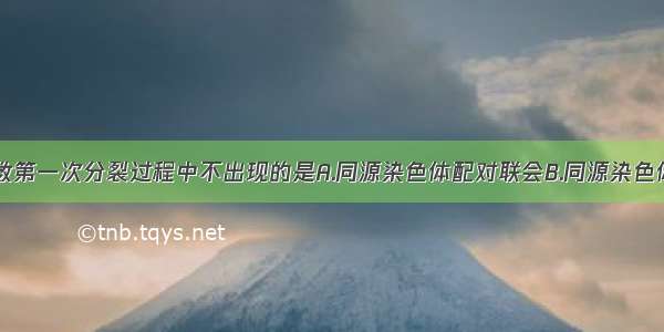 单选题在减数第一次分裂过程中不出现的是A.同源染色体配对联会B.同源染色体分离C.非同