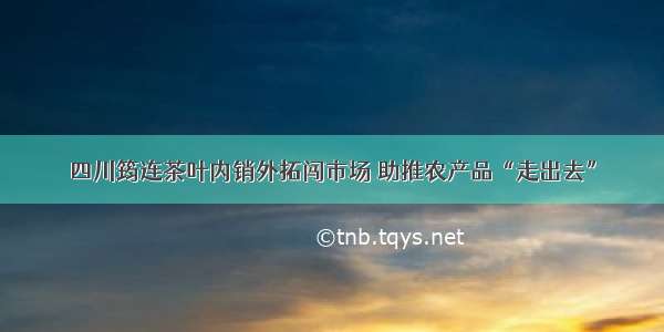 四川筠连茶叶内销外拓闯市场 助推农产品“走出去”