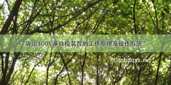 说出400V备自投装置的工作原理及操作方法？