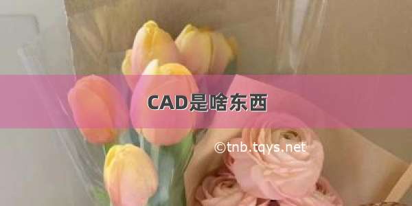 CAD是啥东西