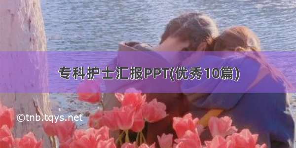 专科护士汇报PPT(优秀10篇)