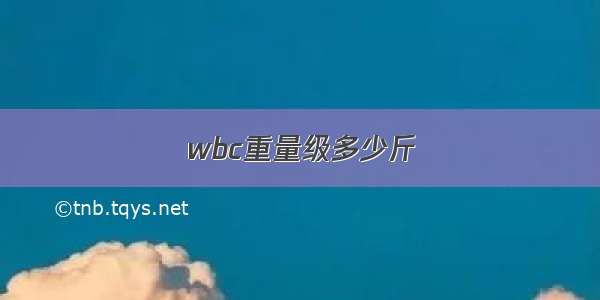 wbc重量级多少斤