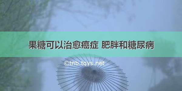 果糖可以治愈癌症 肥胖和糖尿病