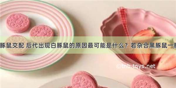 两只杂合黑豚鼠交配 后代出现白豚鼠的原因最可能是什么？若杂合黑豚鼠一胎生出4只豚