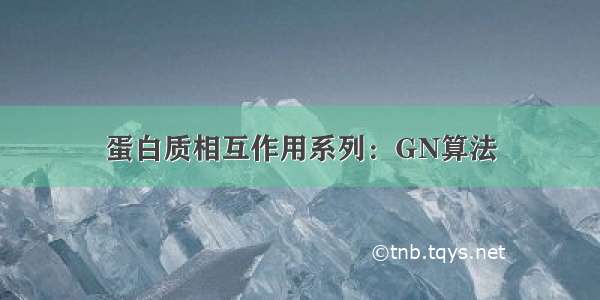 蛋白质相互作用系列：GN算法