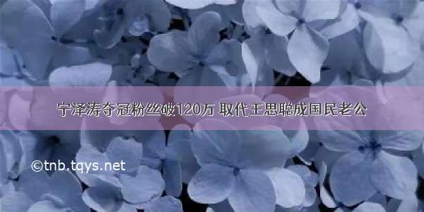 宁泽涛夺冠粉丝破120万 取代王思聪成国民老公