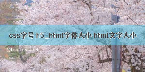 css字号 h5_html字体大小 html文字大小