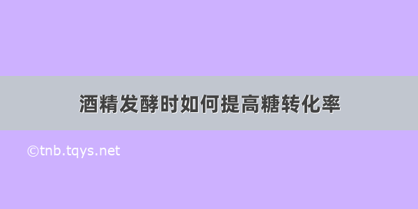 酒精发酵时如何提高糖转化率