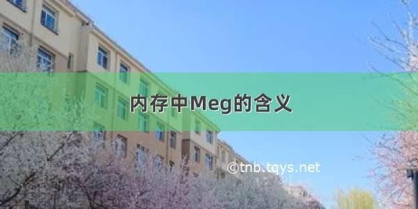 内存中Meg的含义