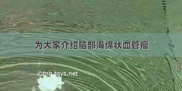 为大家介绍脑部海绵状血管瘤