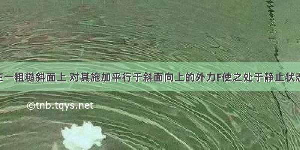 将物块放在一粗糙斜面上 对其施加平行于斜面向上的外力F使之处于静止状态 如图所示