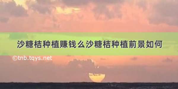 沙糖桔种植赚钱么沙糖桔种植前景如何