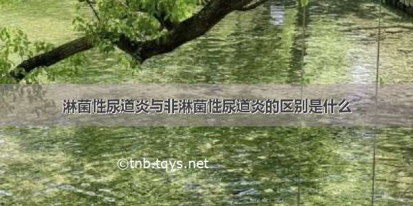 淋菌性尿道炎与非淋菌性尿道炎的区别是什么