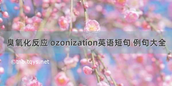 臭氧化反应 ozonization英语短句 例句大全