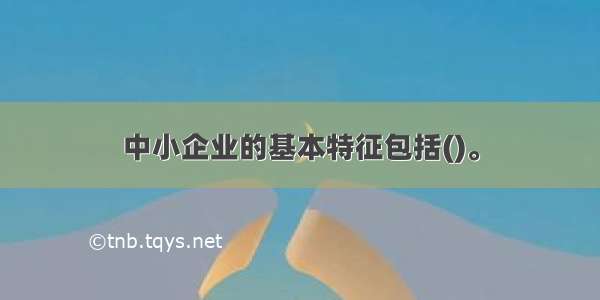 中小企业的基本特征包括()。