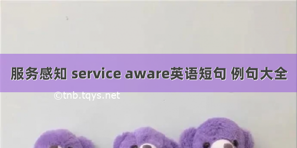 服务感知 service aware英语短句 例句大全