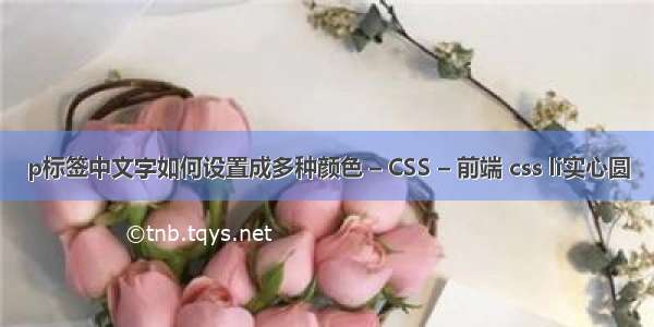 p标签中文字如何设置成多种颜色 – CSS – 前端 css li实心圆