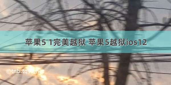 苹果5 1完美越狱 苹果5越狱ios12