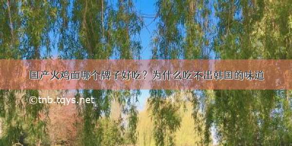 国产火鸡面哪个牌子好吃？为什么吃不出韩国的味道