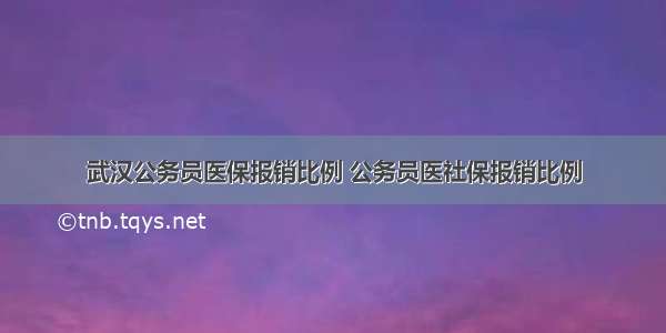 武汉公务员医保报销比例 公务员医社保报销比例