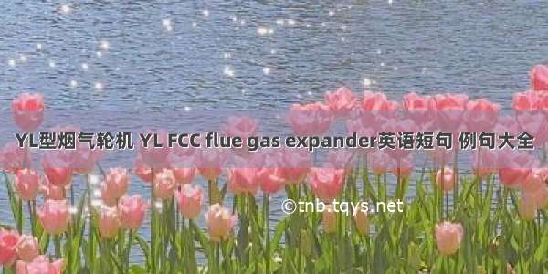 YL型烟气轮机 YL FCC flue gas expander英语短句 例句大全