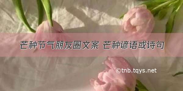 芒种节气朋友圈文案 芒种谚语或诗句