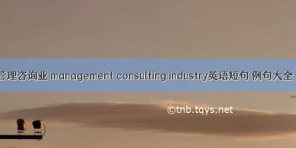 管理咨询业 management consulting industry英语短句 例句大全