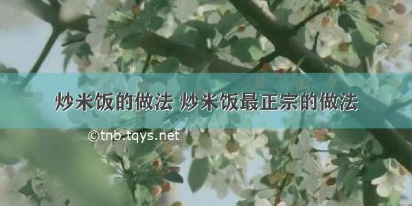 炒米饭的做法 炒米饭最正宗的做法