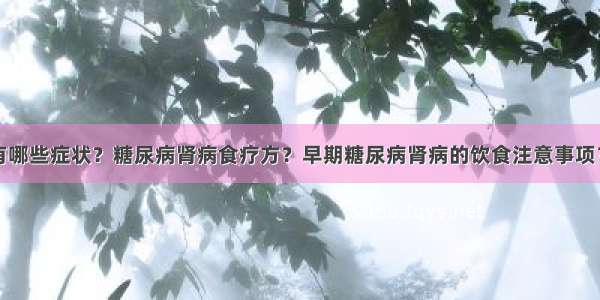 糖尿病肾病有哪些症状？糖尿病肾病食疗方？早期糖尿病肾病的饮食注意事项？糖尿病患者