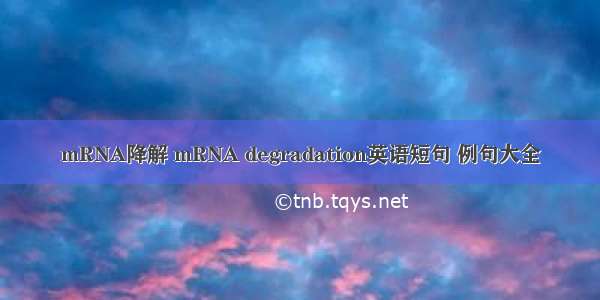 mRNA降解 mRNA degradation英语短句 例句大全
