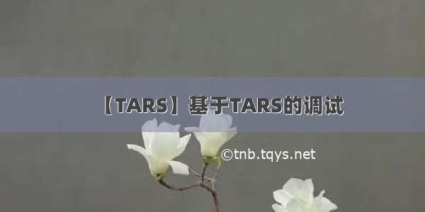 【TARS】基于TARS的调试