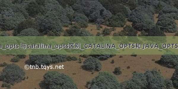 java_opts 与catalina_opts区别_CATALINA_OPTS和 JAVA_OPTS区别