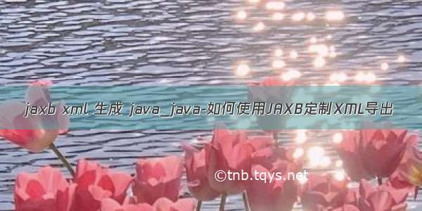 jaxb xml 生成 java_java-如何使用JAXB定制XML导出