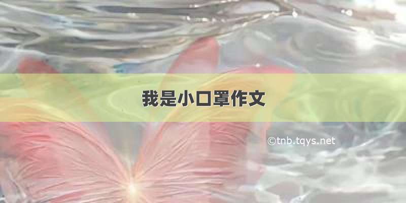 我是小口罩作文