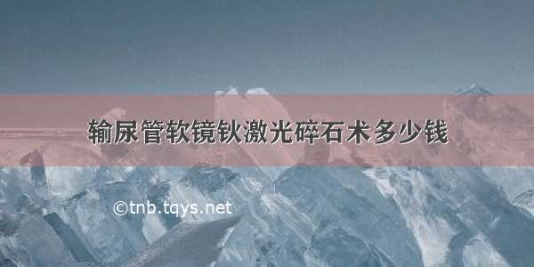 输尿管软镜钬激光碎石术多少钱