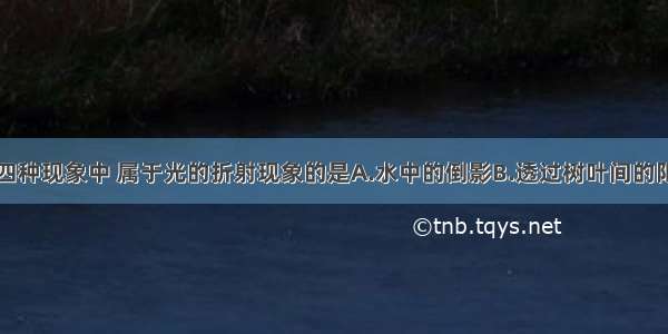 如图所示的四种现象中 属于光的折射现象的是A.水中的倒影B.透过树叶间的阳光C.水中弯