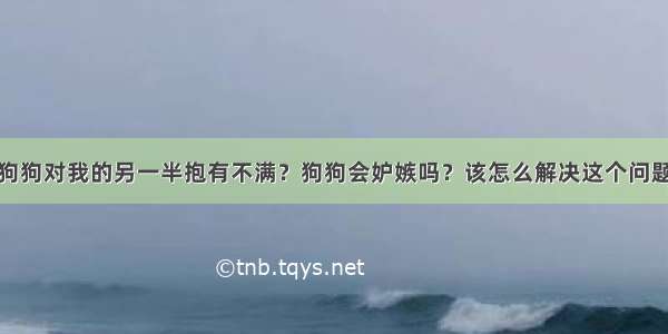 狗狗对我的另一半抱有不满？狗狗会妒嫉吗？该怎么解决这个问题