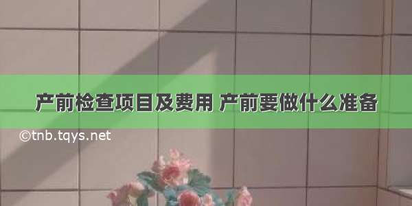 产前检查项目及费用 产前要做什么准备