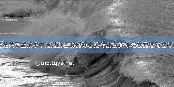 全髋关节置换术中通过髋臼解剖标志进行髋臼假体定位的准确性评估