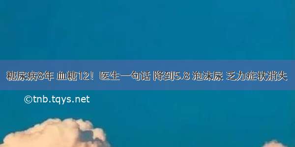 糖尿病8年 血糖12！医生一句话 降到5.8 泡沫尿 乏力症状消失