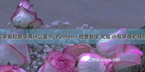 python中小写字母和数字用什么表示_Python – 检查数字 大写 小写字母和特殊字符的输入...