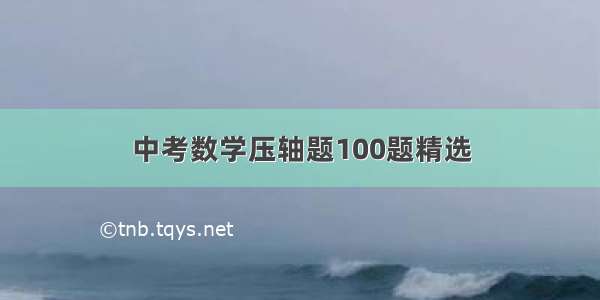 中考数学压轴题100题精选