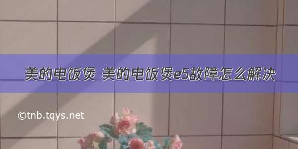 美的电饭煲 美的电饭煲e5故障怎么解决