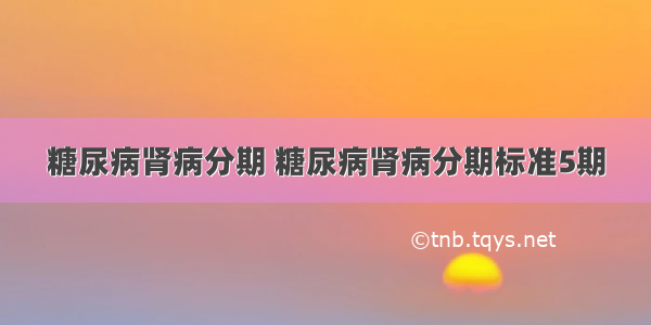 糖尿病肾病分期 糖尿病肾病分期标准5期