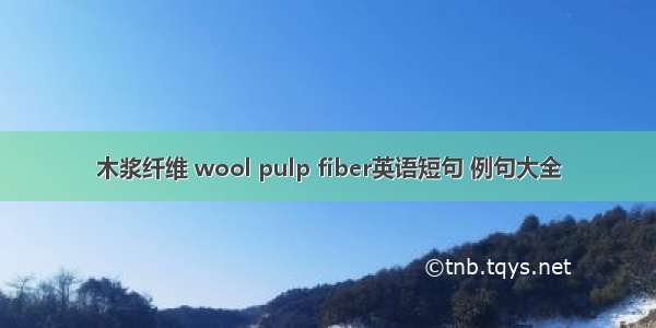 木浆纤维 wool pulp fiber英语短句 例句大全