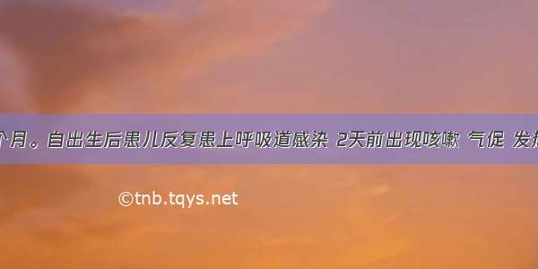 患儿 10个月。自出生后患儿反复患上呼吸道感染 2天前出现咳嗽 气促 发热 烦躁不