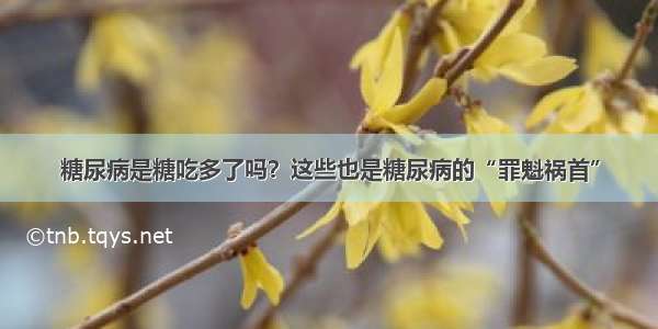 糖尿病是糖吃多了吗？这些也是糖尿病的“罪魁祸首”